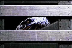 Jurassic Park Institute Tour screenshot 3 for GameBoy Advance